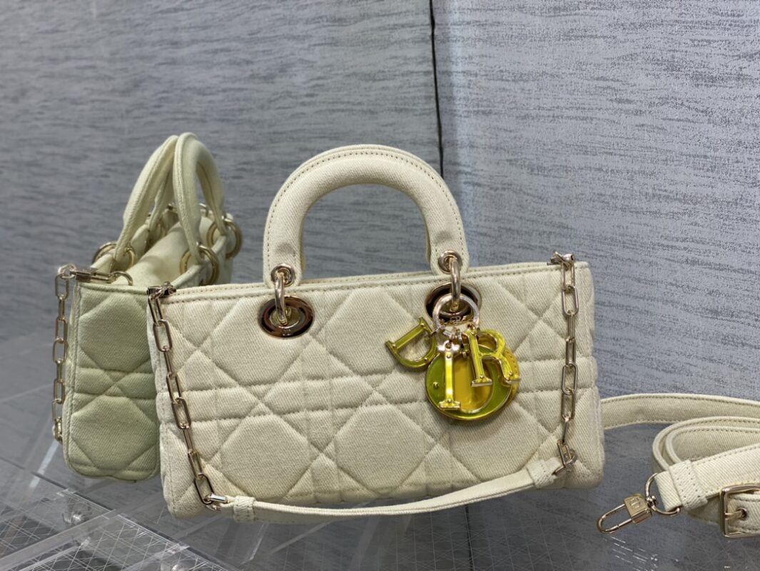 Dior Lady D-joy Bag in White Denim