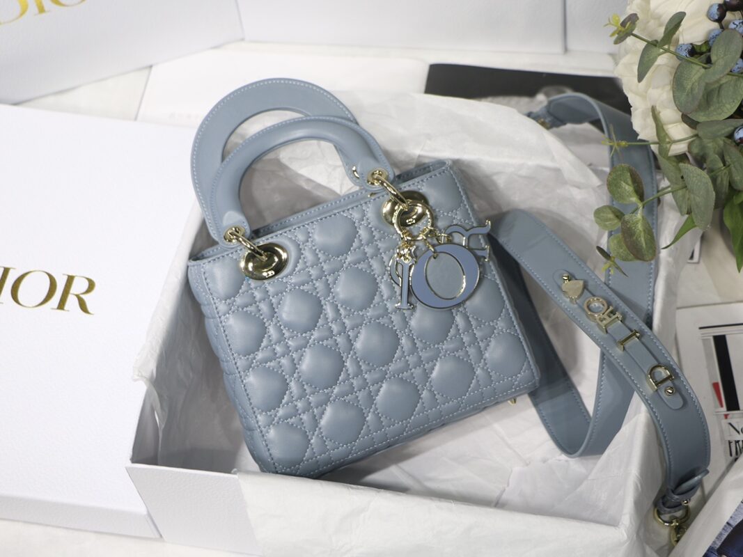 Lady Dior My ABC 20 Bag in Blue