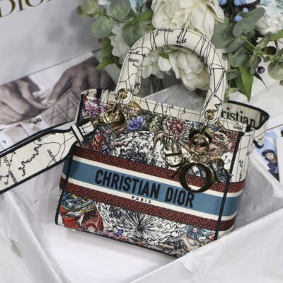 Lady Dior Embroidery Bag in Milk White Constellation