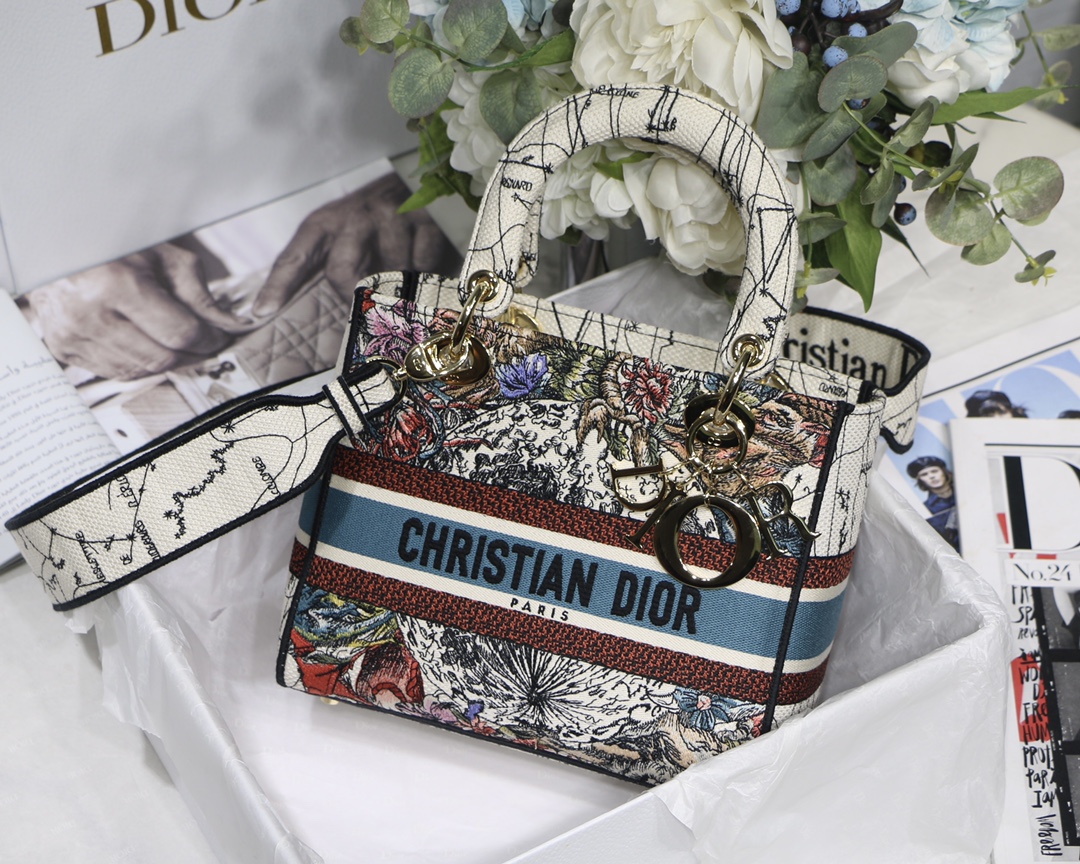 Lady Dior Embroidery Bag in Milk White Constellation