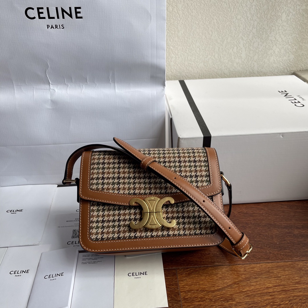 Celine Mini Triomphe Teen Box Bag