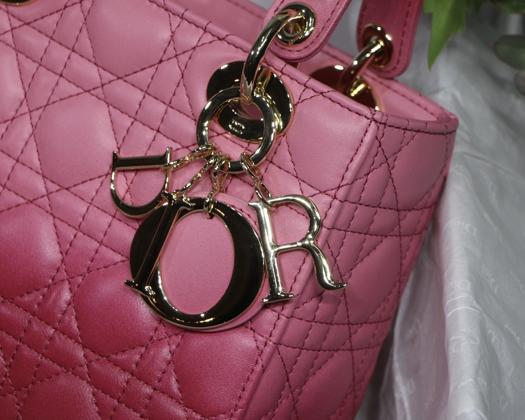 My ABCDior Bag in Gradient Rose Red - Image 7