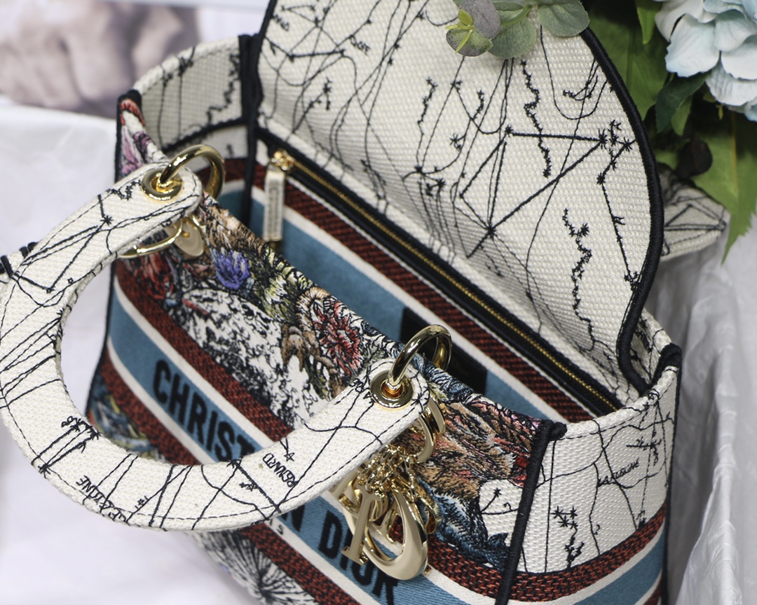 Lady Dior Embroidery Bag in Milk White Constellation - Image 8