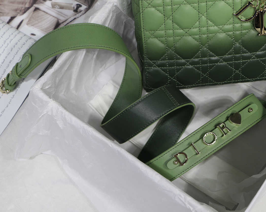 My ABCDior Bag in Gradient Green - Image 9