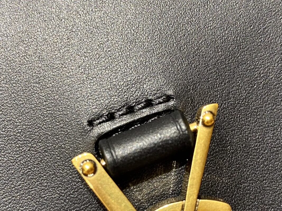 YSL Kaia Mini Black – Detailed Show