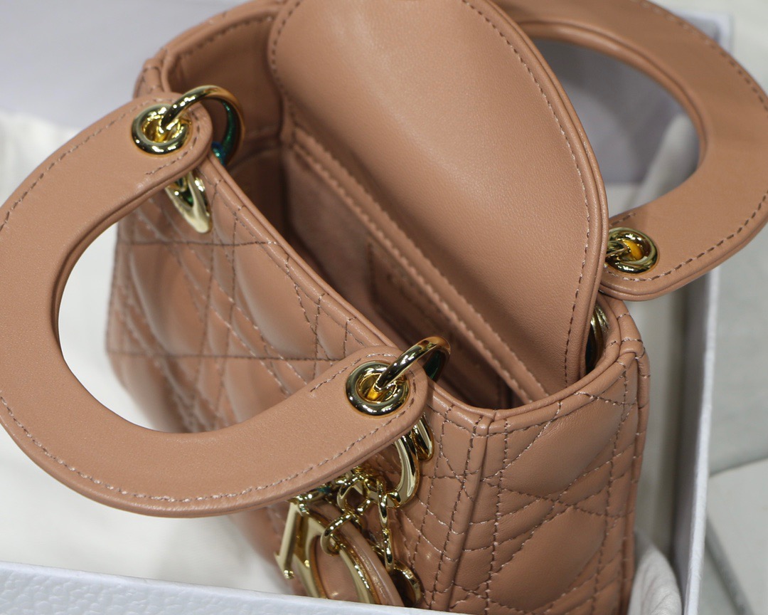 Lady Dior Micro 12 Pink - Image 10