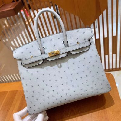 Birkin 25 Ostrich Gris Agate