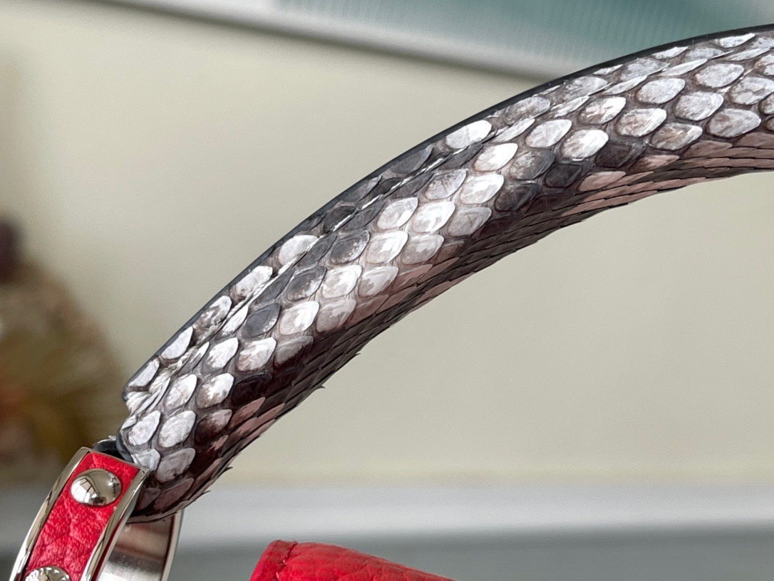 Louis Vuitton Capucines BB Medium Handbag in Red - Image 8