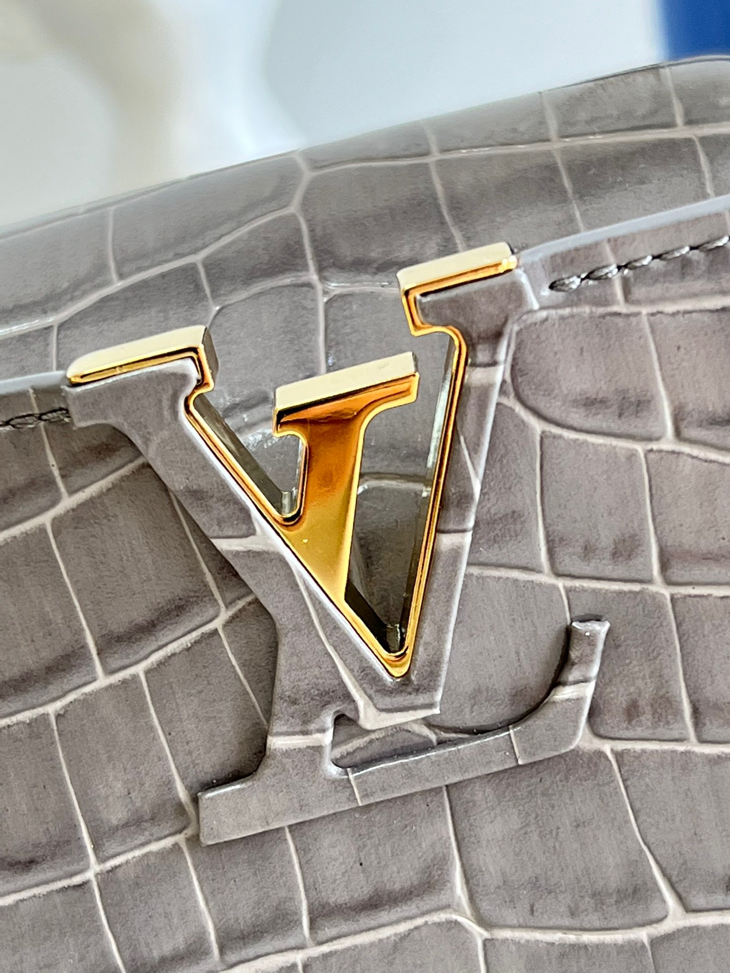 Louis Vuitton Capucines Mini Handbag in Gray Crocodile - Image 7
