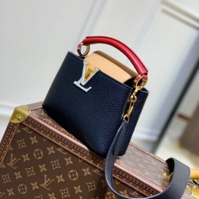 Louis Vuitton Capucines Mini Handbag in Black&Brown