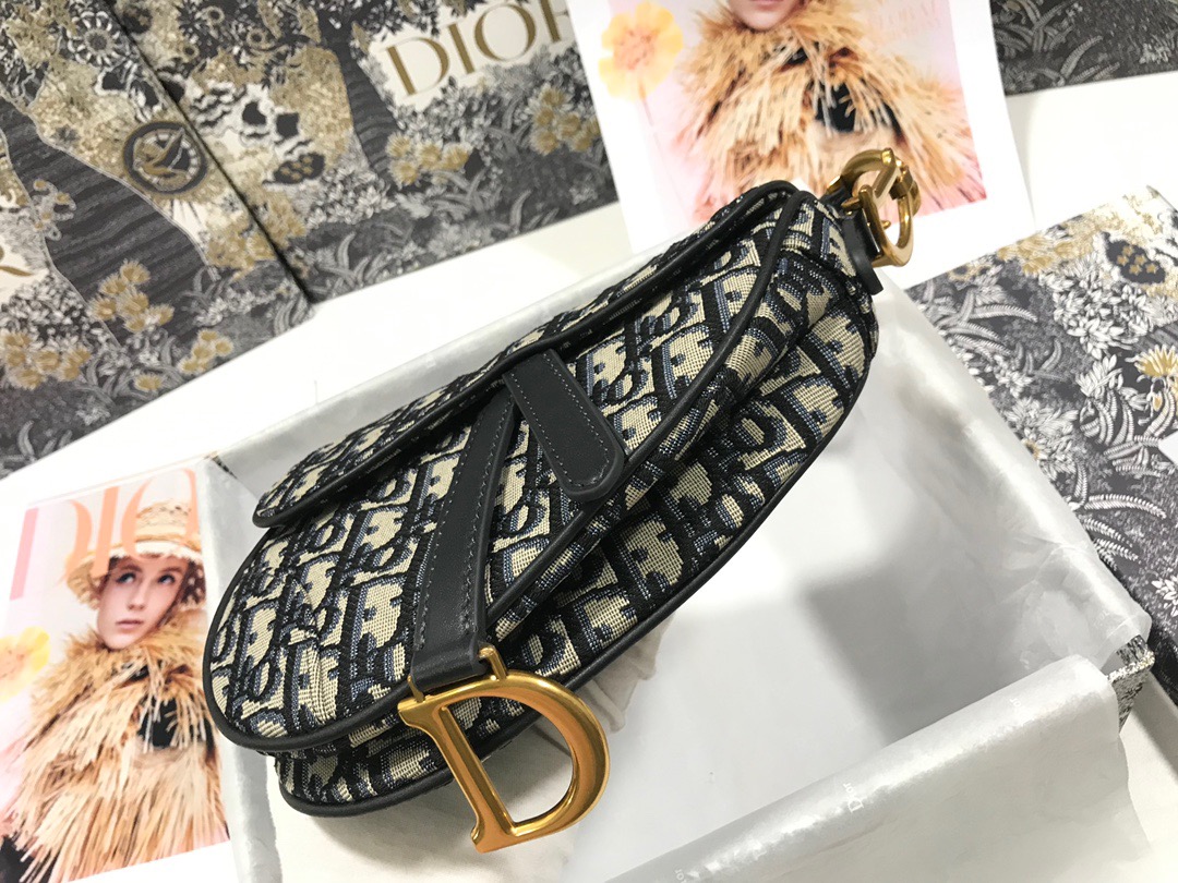 Dior Saddle Bag 21 Canvas - Image 4