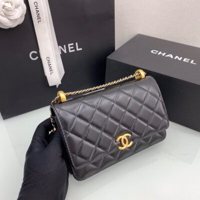 Chanel wocWOC Fortune Bag 19 in Tire Leather