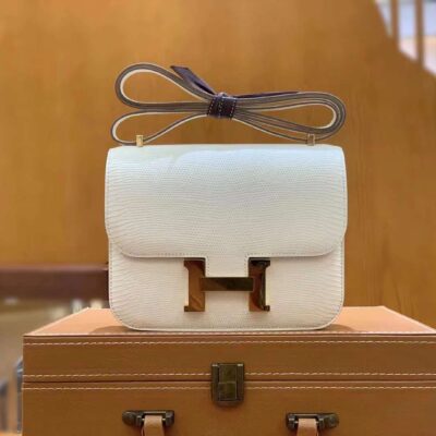 Constance Lizard 18 Craie