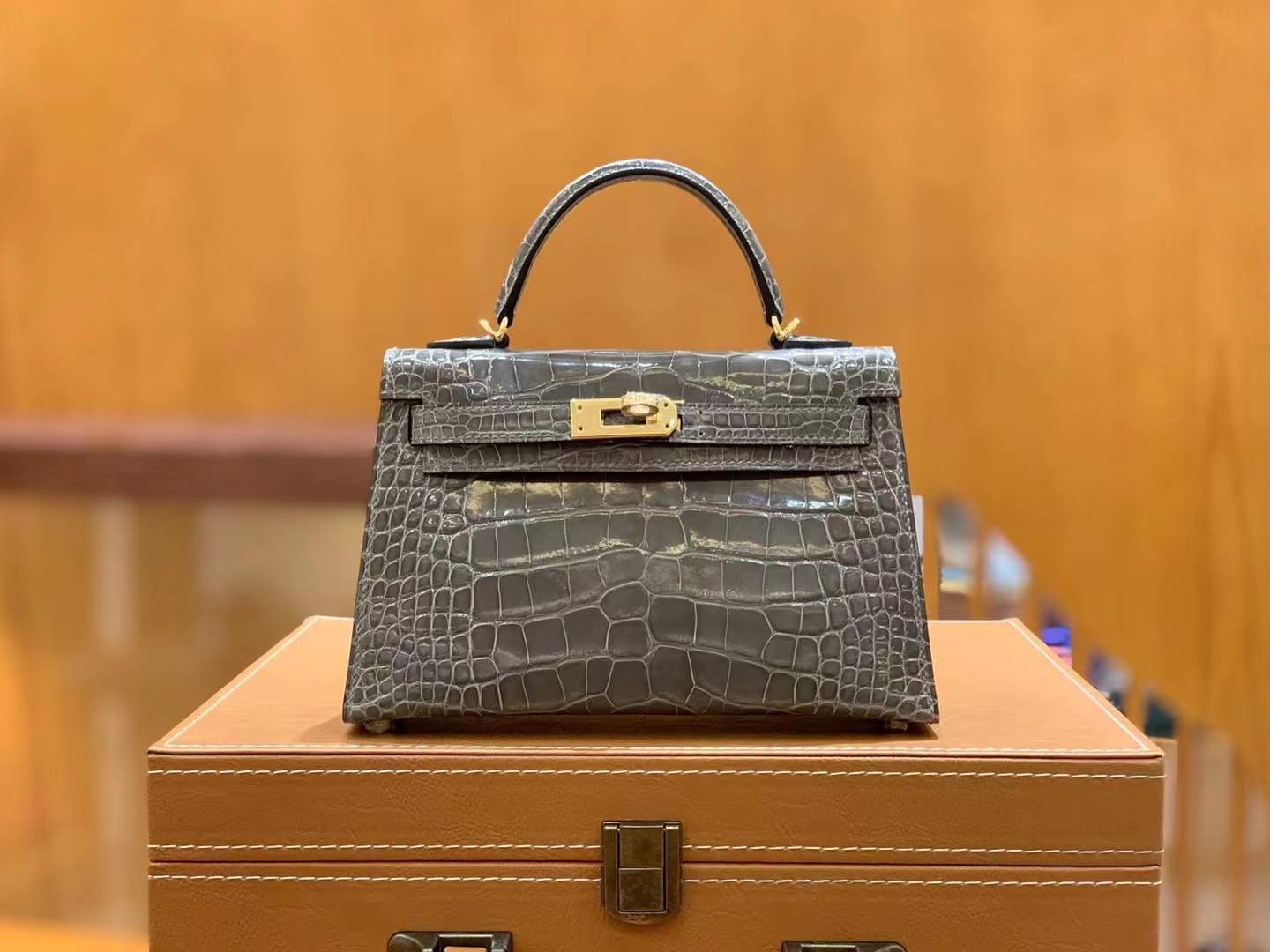 fb638e_2b202e480f06442091f19f0bb9f92824mv2.jpg Mini Kelly Crocodile Eutope - Image 1