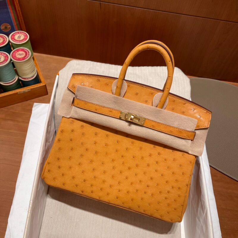 Birkin 25 Ostrich Sun Yellow