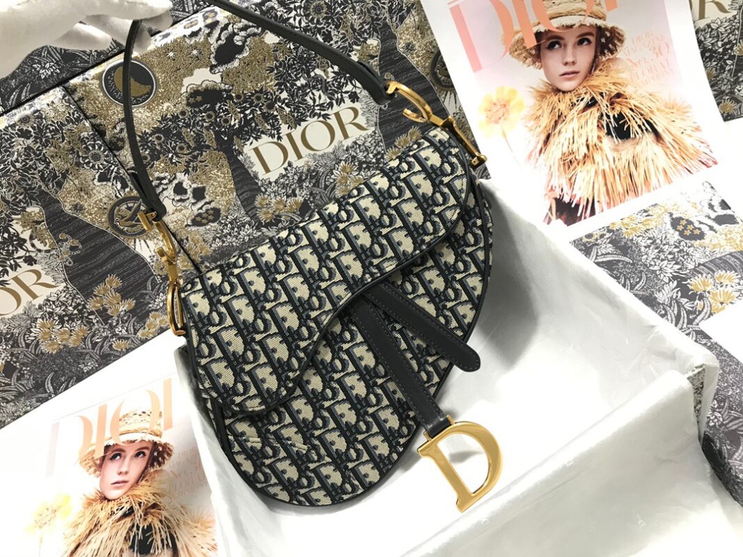 Dior Saddle Bag 25.5 Canvas
