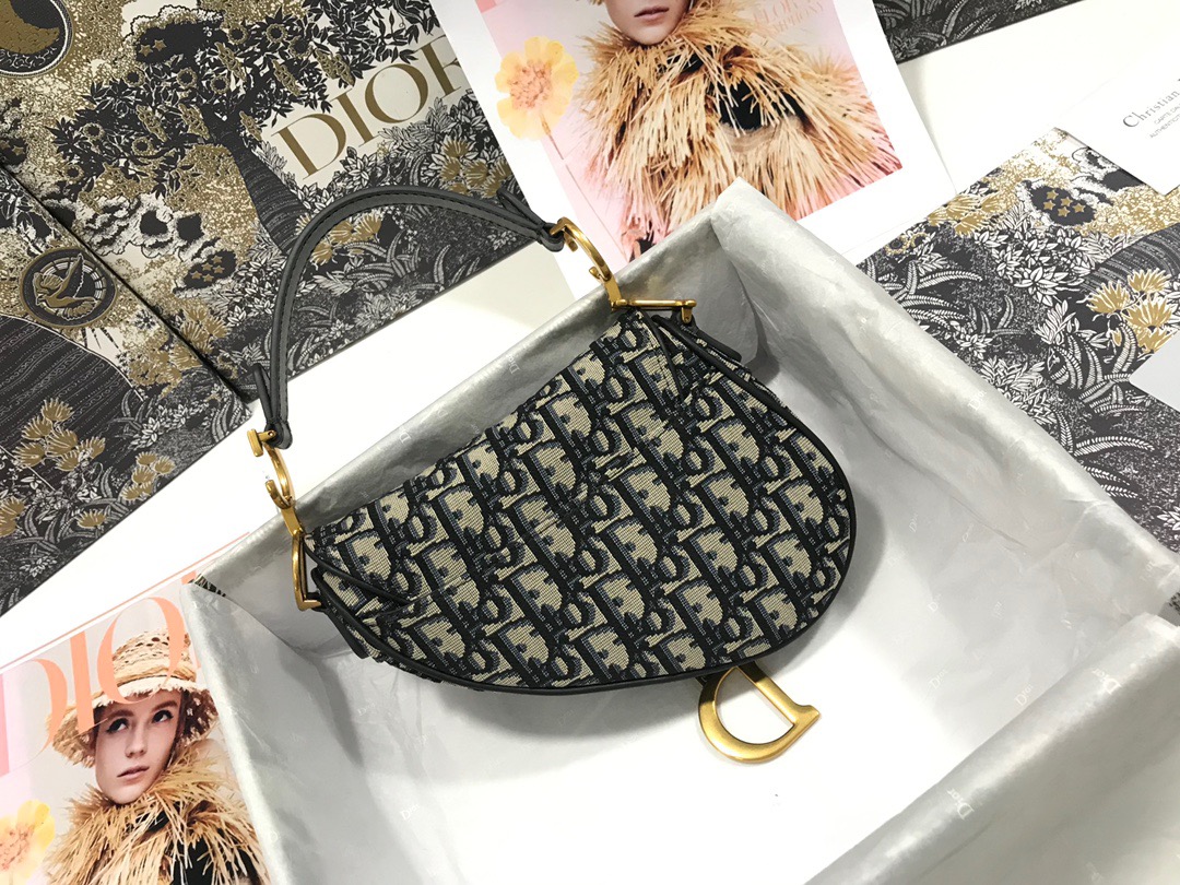 Dior Saddle Bag 21 Canvas - Image 3