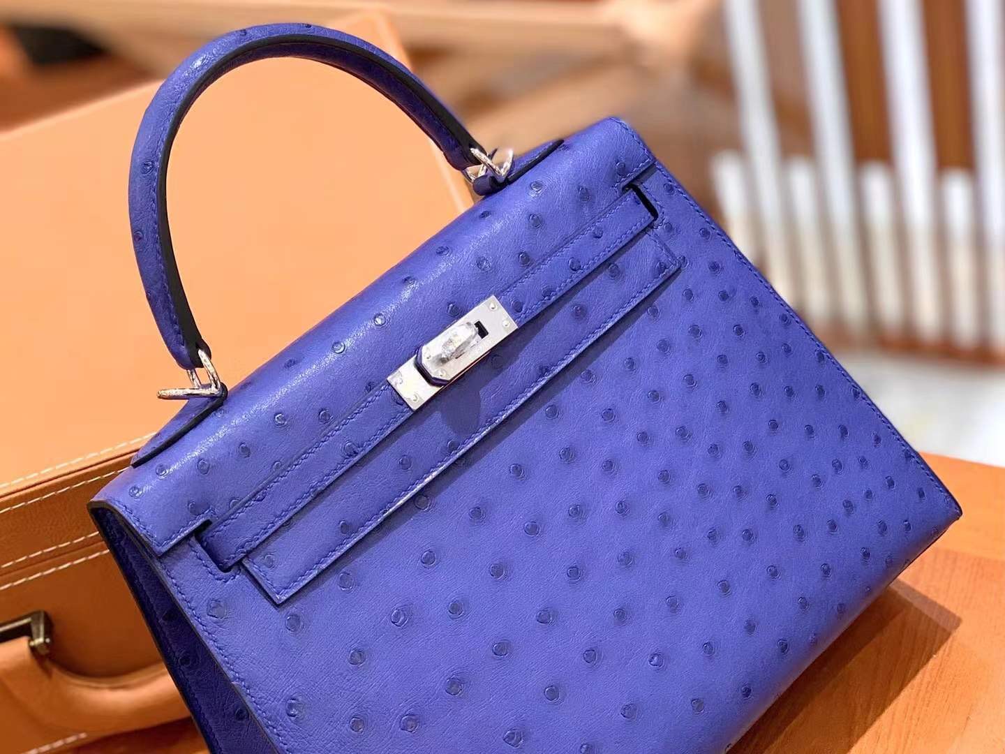 fb638e_44807380c3d2410e8f8283039ac74195mv2.jpg Kelly 25 Ostrich Iris Blue - Image 1