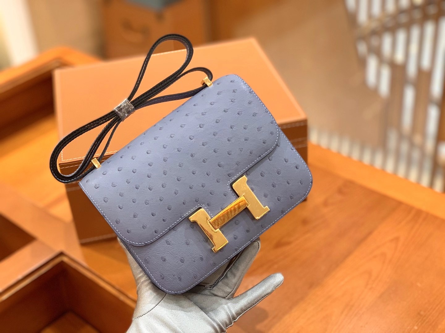 fb638e_45a42d064a5f49c0a4ecfff923c803efmv2.jpg Constance 18 Ostrich Glacier Blue - Image 1