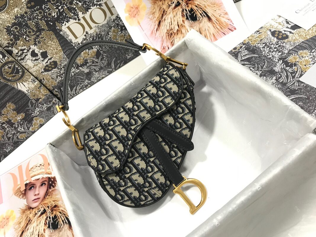 Dior Saddle Bag 21 Canvas
