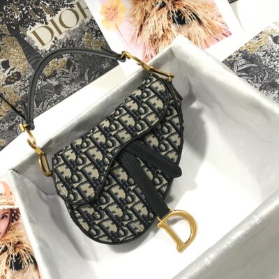 Dior Saddle Bag 21 Canvas
