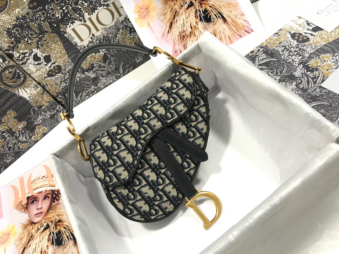 Dior Saddle Bag 21 Canvas