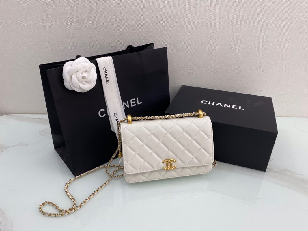 Chanel WOC Fortune Bag 19 in White