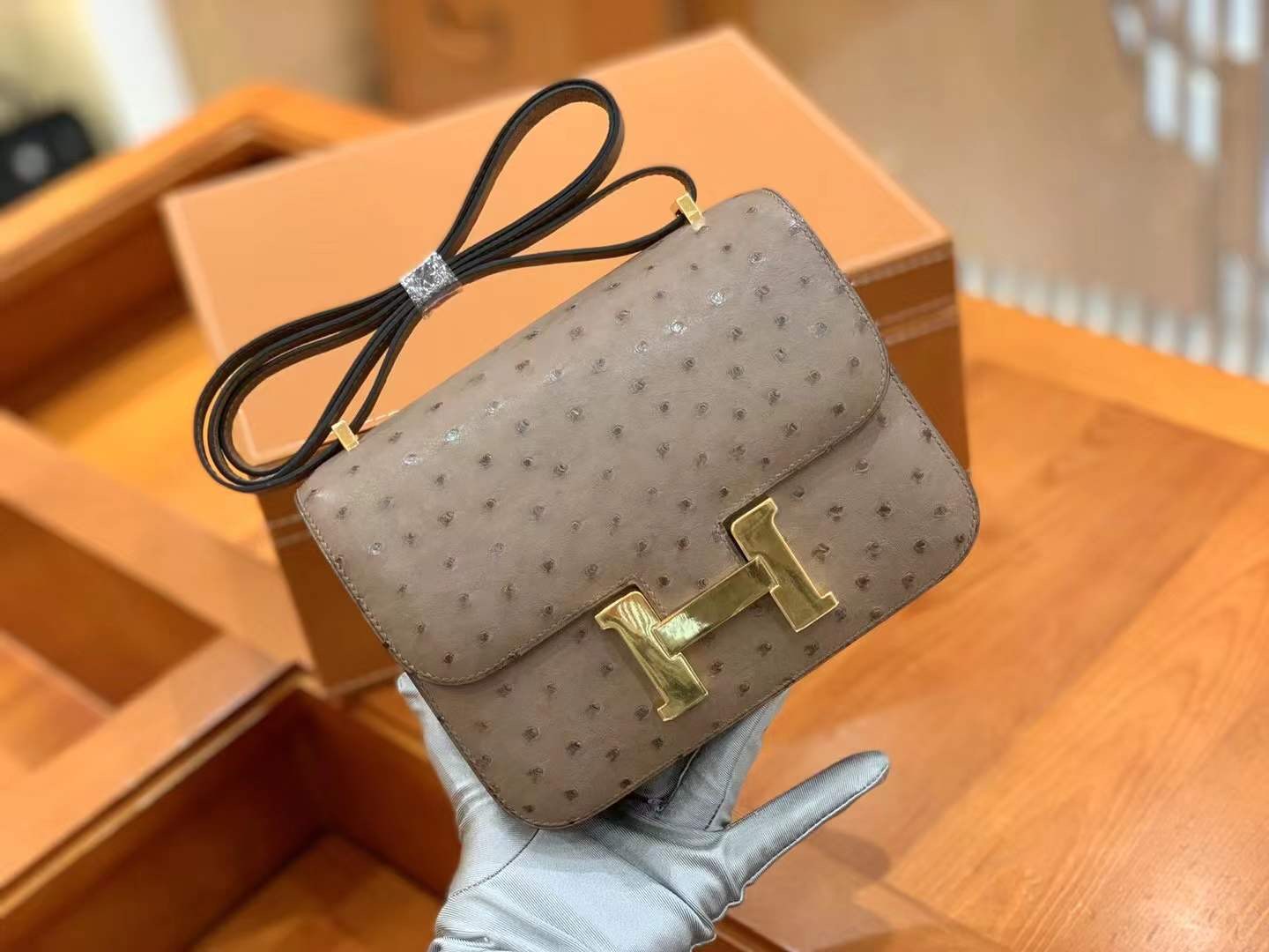 fb638e_520c8c7368a8499db673123356b31f3cmv2.jpg Constance 18 Ostrich Eutope - Image 1