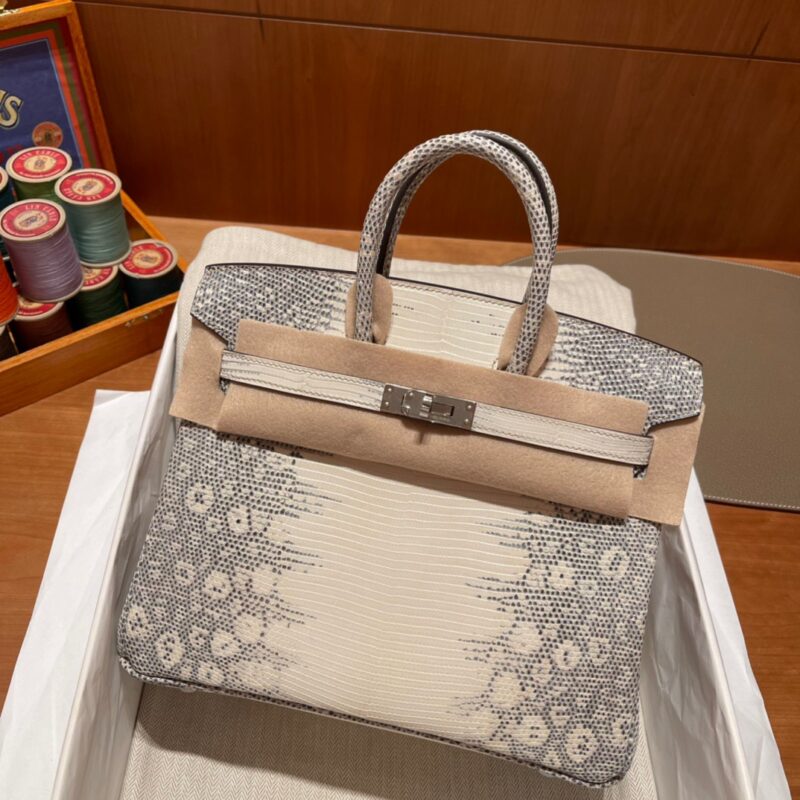 Birkin 25 Lizard Himalayan