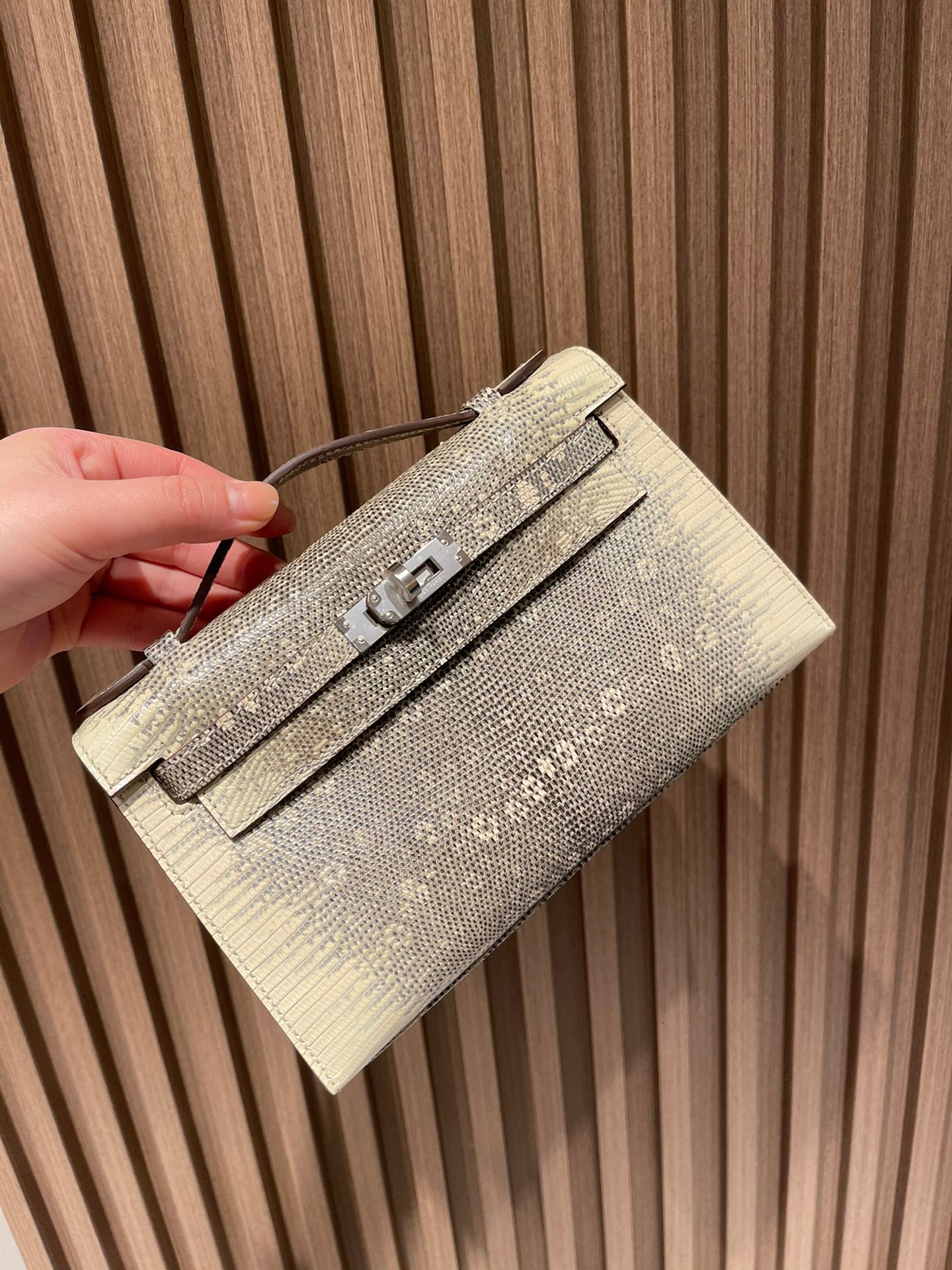 fb638e_5e230f3458df48f4a76e73a8f8e55ac8mv2.jpg Kelly Pochette Lizard Ombre - Image 1