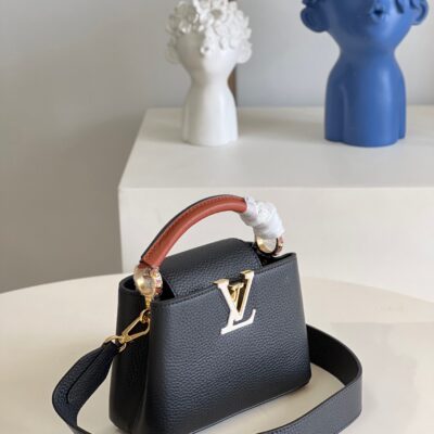 Louis Vuitton Capucines Mini Handbag in Black&Brown
