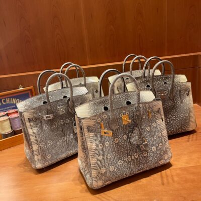Birkin 25 Lizard Himalayan
