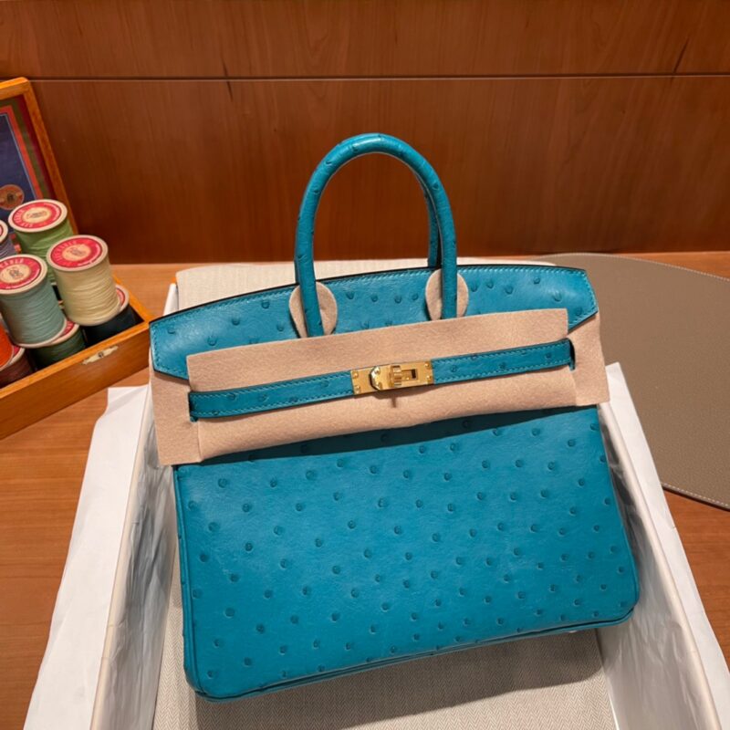 Birkin 25 Ostrich French Blue