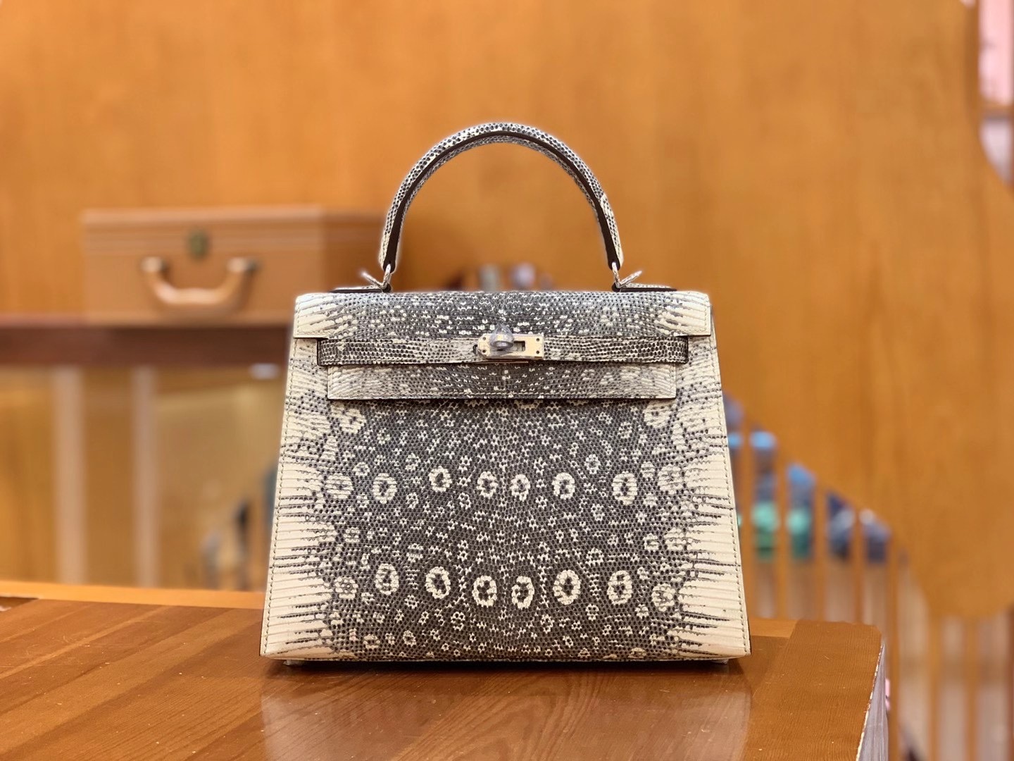 fb638e_77d7f0f248264b299a073a4b87f56585mv2.jpg Kelly 25 Ombre Lizard - Image 1