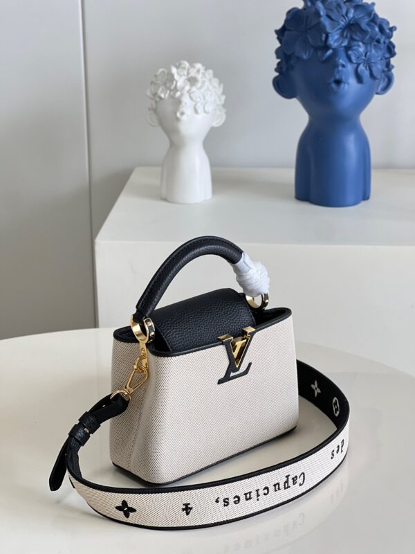 Louis Vuitton Capucines Mini Handbag in Black Canvas Embroidery