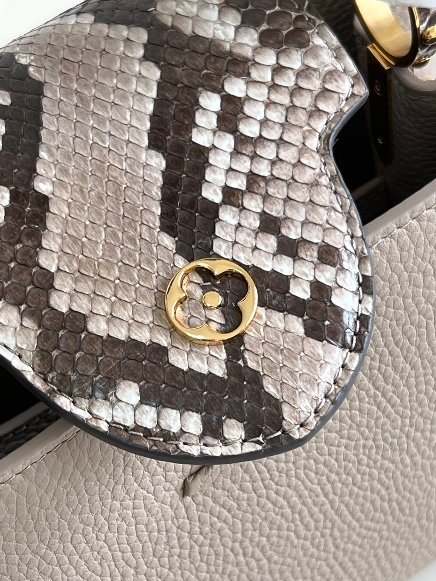 Louis Vuitton Capucines BB Small Handbag in Light Coffee&Snake - Image 8