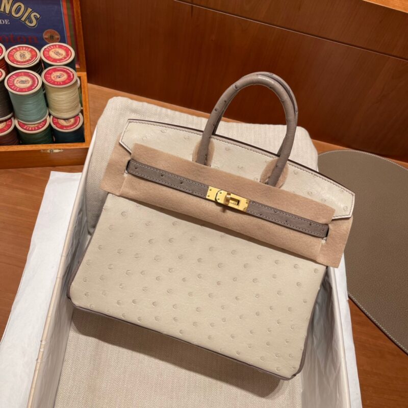 Birkin 25 Ostrich Glacier White&Asphalt Grey