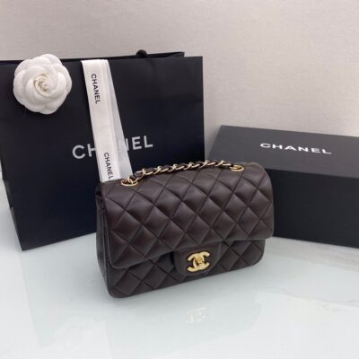 Chanel Classic Flap 20 Chocolate