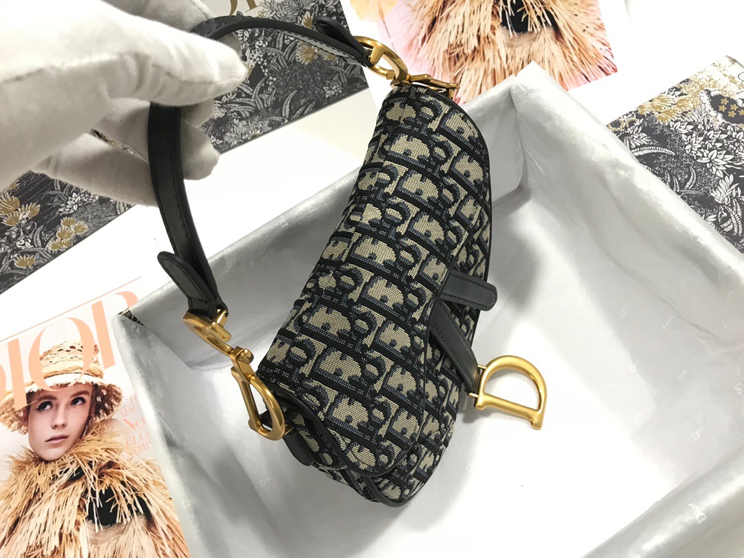 Dior Saddle Bag 21 Canvas - Image 6