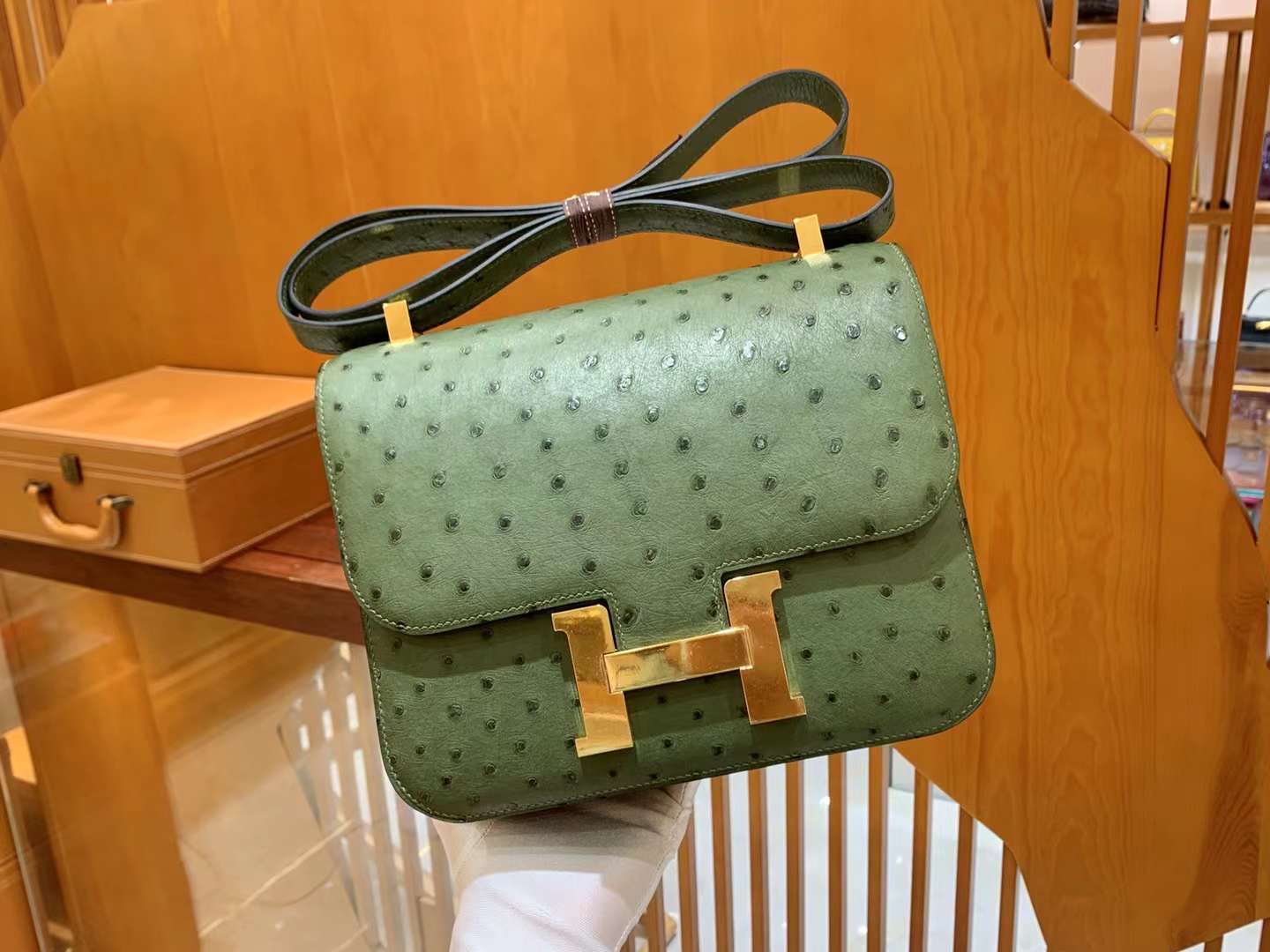 fb638e_bb9aba9caca3449d8227a57ccf0f9e55mv2.jpg Constance 24 Ostrich Shea Green - Image 1