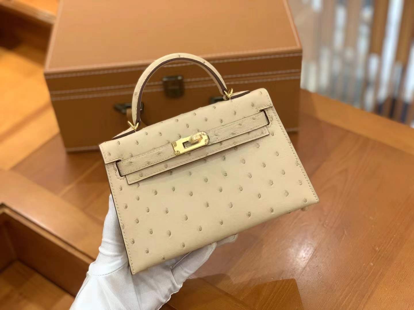 fb638e_c5a1e023a94249279ae173a69448e8c6mv2.jpg Mini Kelly Ostrich Beige - Image 1