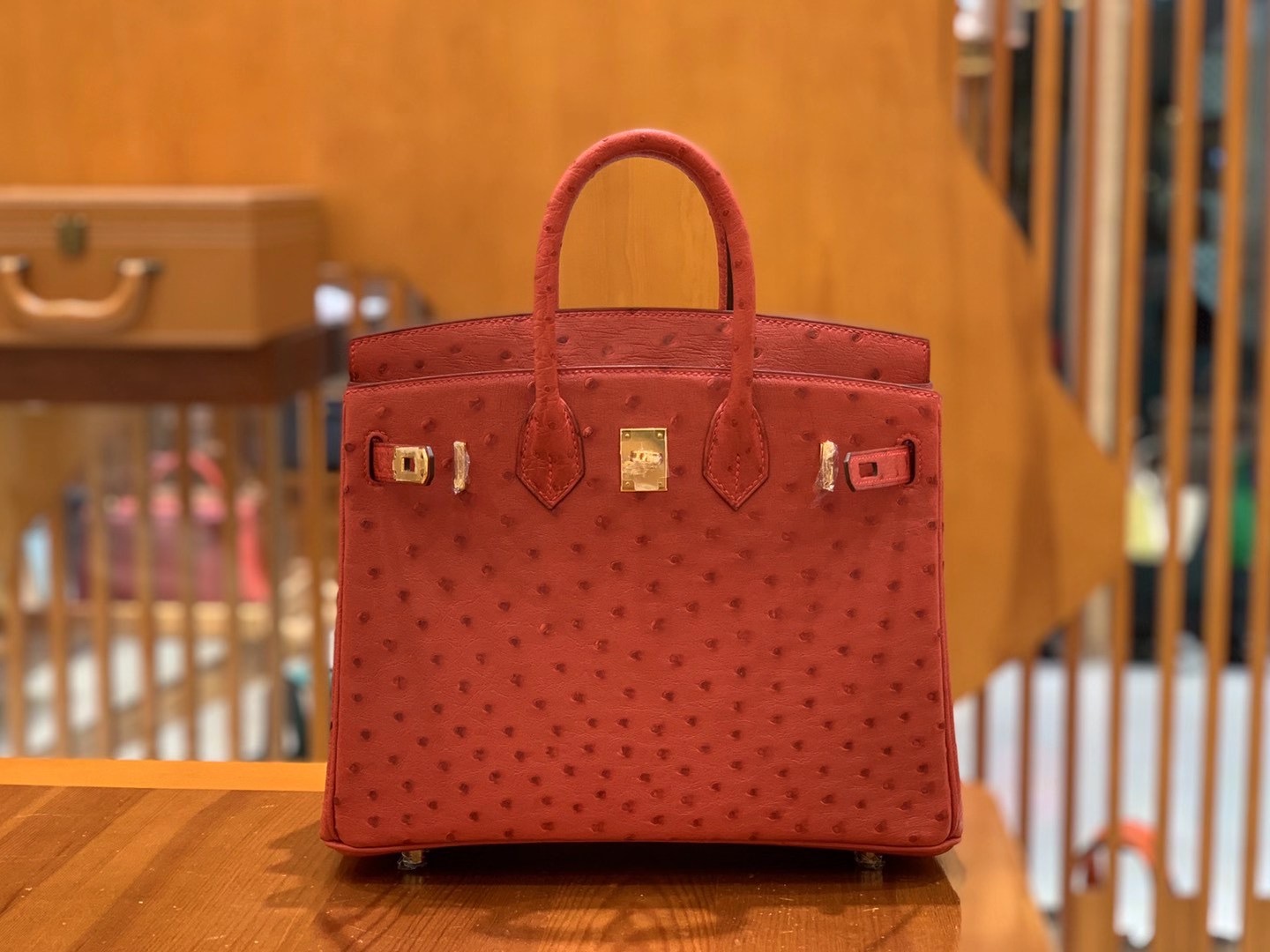 fb638e_dd8b5e4d0095451191cd83448d42c0bfmv2.jpg Birkin 25 Ostrich Garnet Red - Image 1