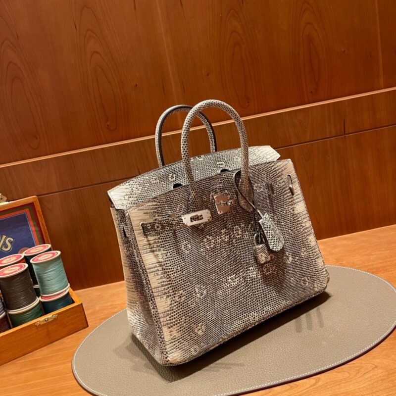 Birkin 25 Lizard Himalayan