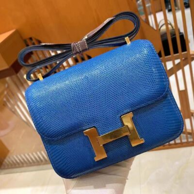 Constance 18 Lizard in Bleu