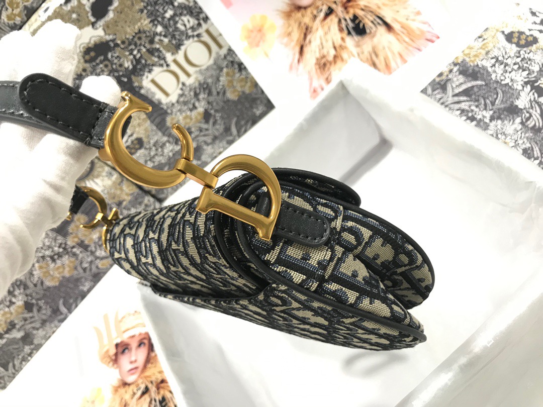 Dior Saddle Bag 21 Canvas - Image 5