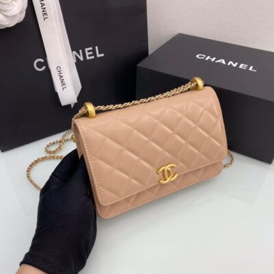 Chanel WOC Fortune Bag 19 in Apricot Tire Leather
