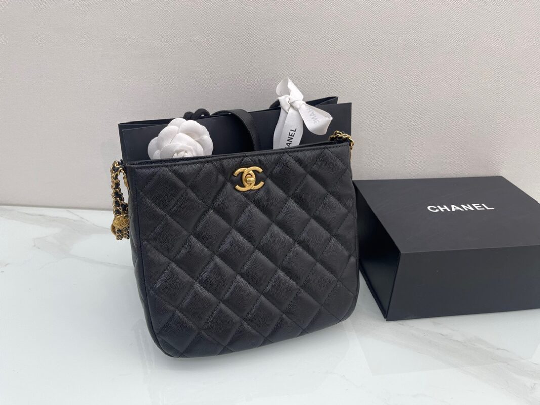 Chanel 22 Hipie Hobo Bag