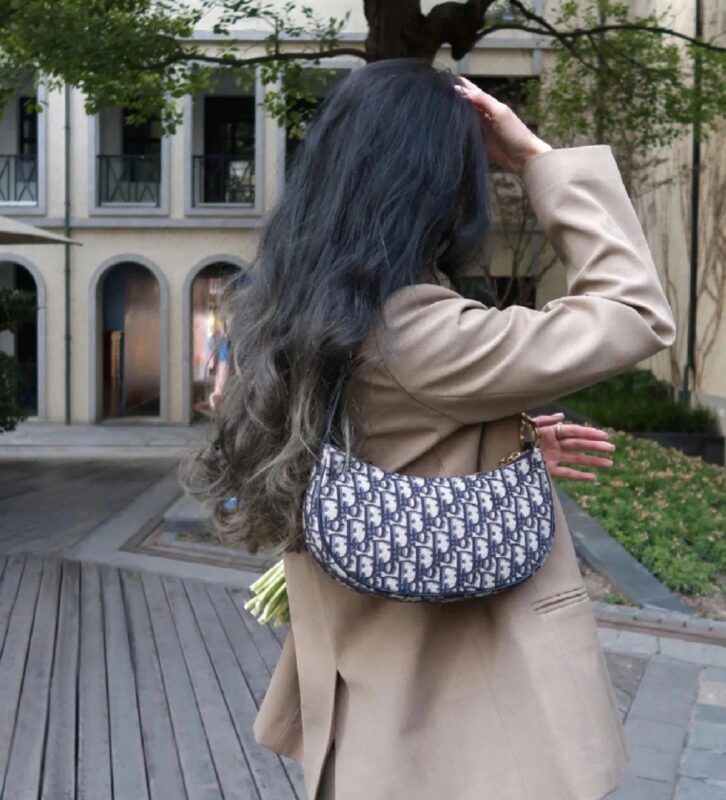 Dior Moon Retro Presbyopic Bag