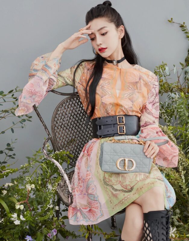 Dior Caro Handbag Rock Gray