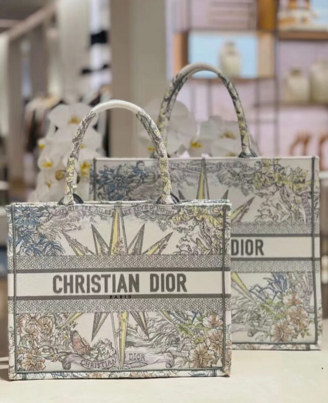 Dior Tote Medium and Large Infinite Dream